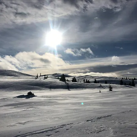 Mountain With Views And Close To Trails