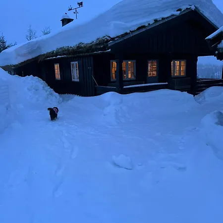 Mountain With Views And Close To Trails Hébergement de vacances *