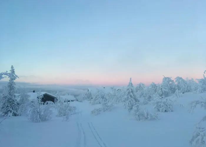 Mountain With Views And Close To Trails Hébergement de vacances Aurdal