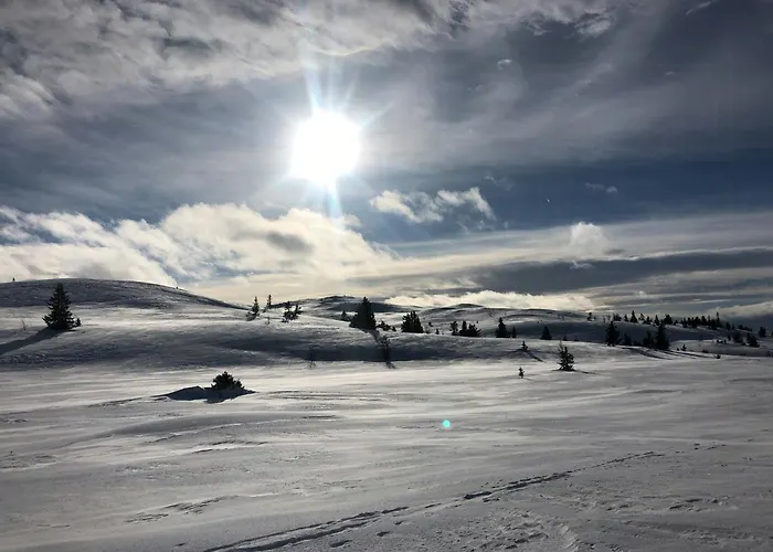 Mountain With Views And Close To Trails