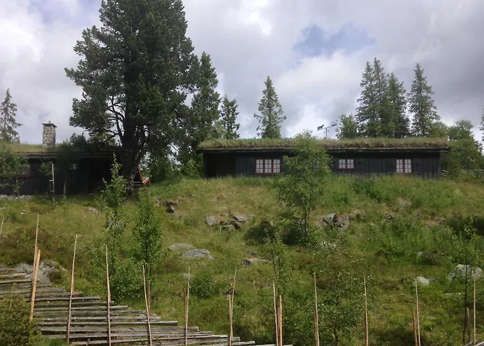 Mountain With Views And Close To Trails * Aurdal