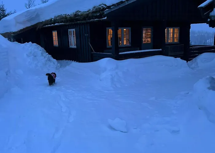 Mountain With Views And Close To Trails Hébergement de vacances *