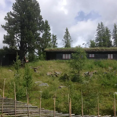 Mountain With Views And Close To Trails * Aurdal